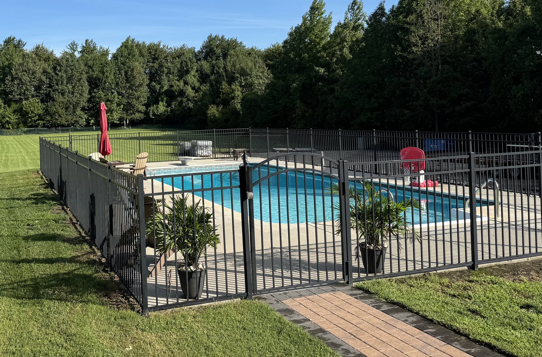 Black aluminum fence surrounding an in-ground backyard pool