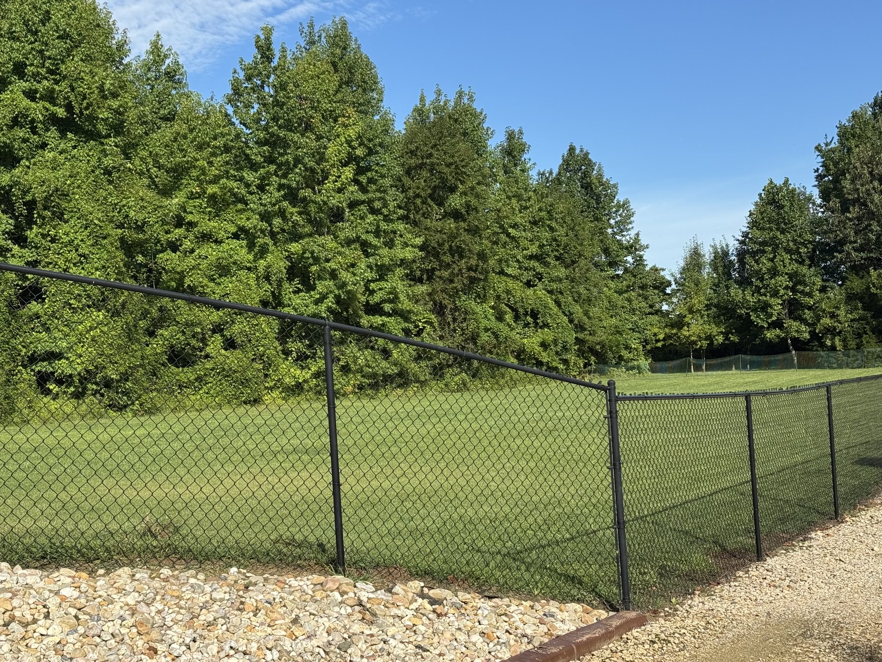 Black vinyl-coated chain link fence enclosing a backyard