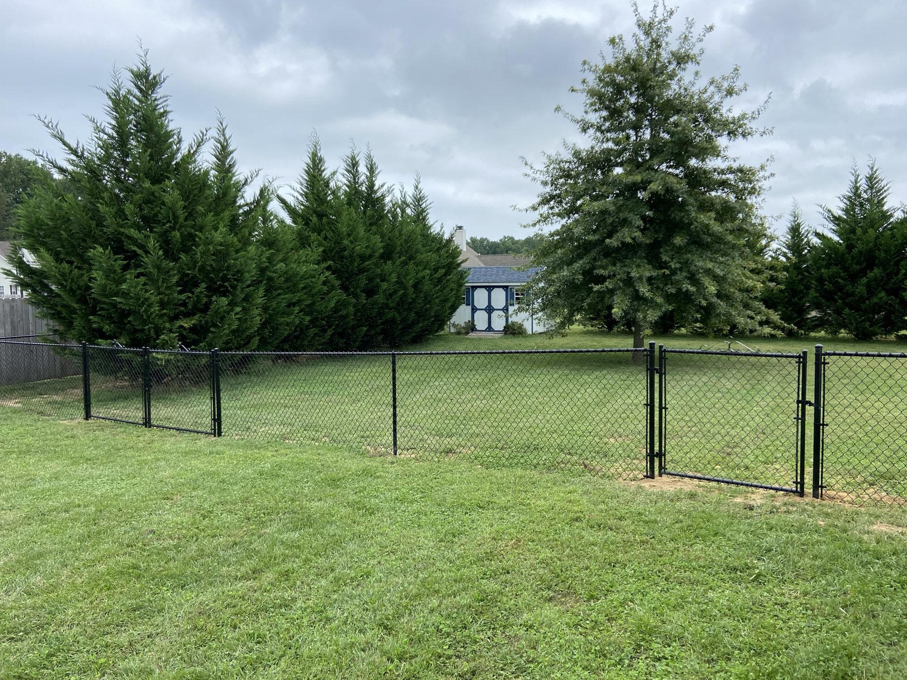 Black vinyl-coated chain link fence with a walk gate