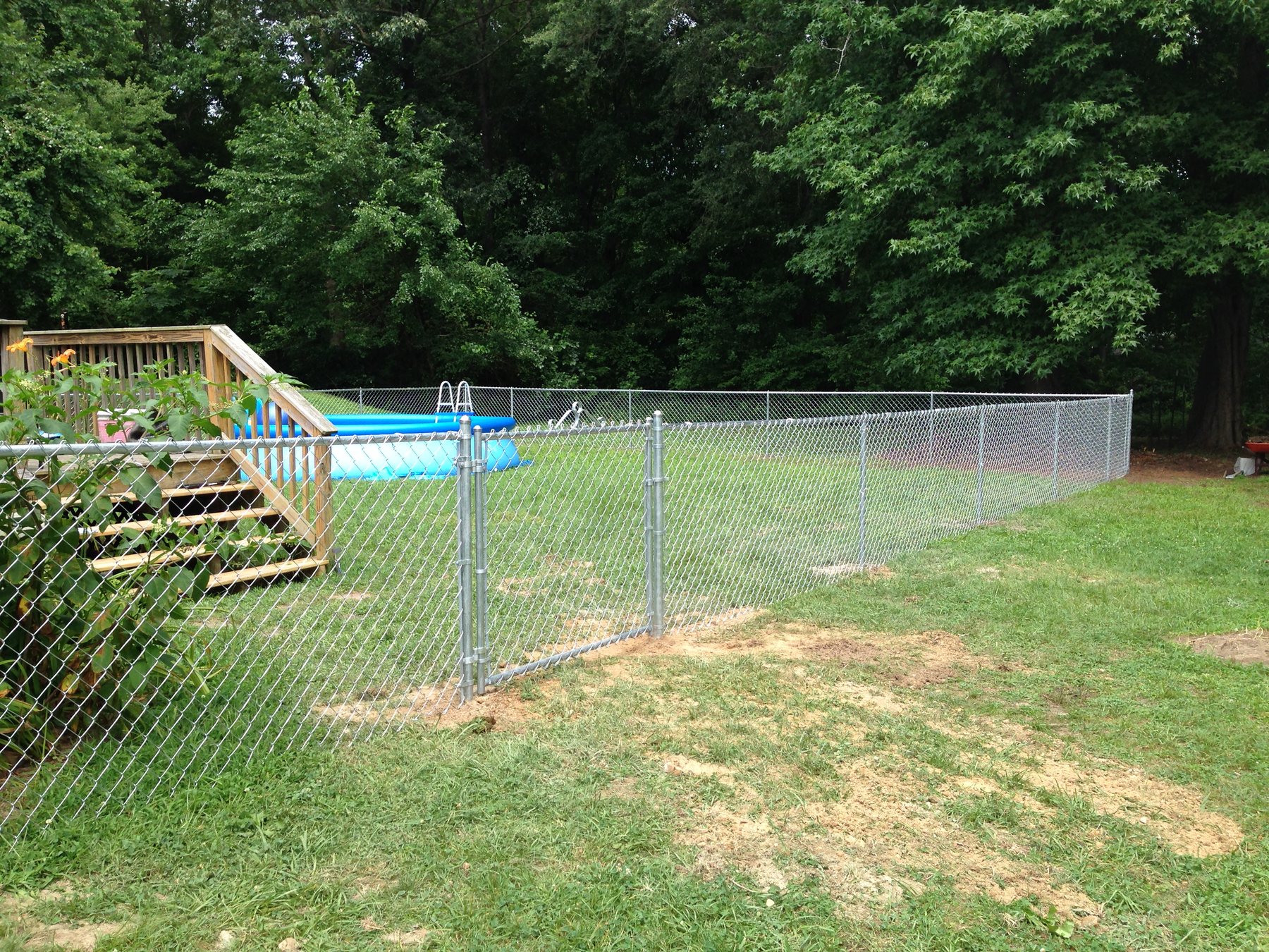 Chain link fence enclosing a pool yard